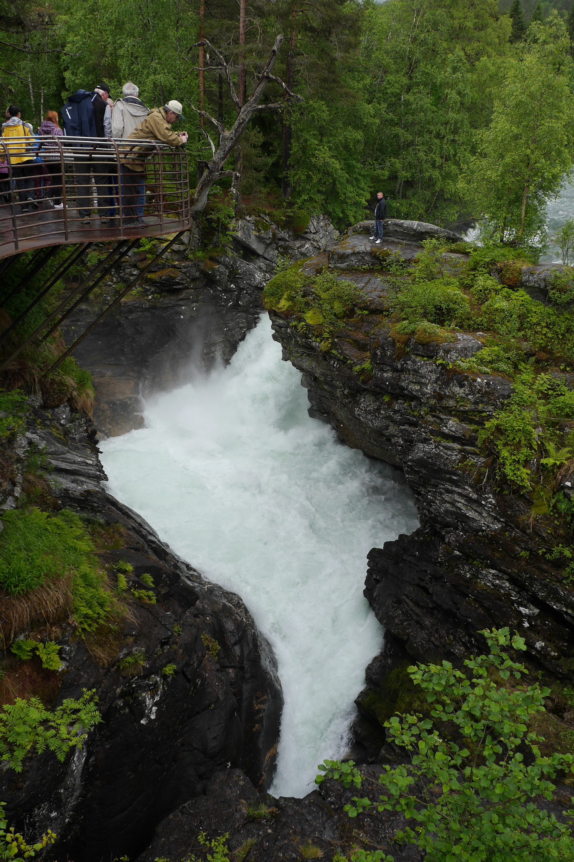 Busausflug Geiranger mit Trollstigen